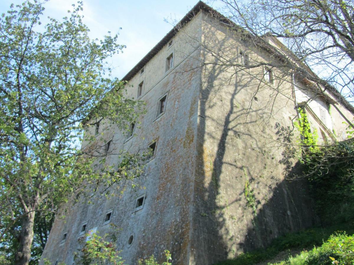 Апартаменти Casa Giuly Vivo d'Orcia Екстер'єр фото